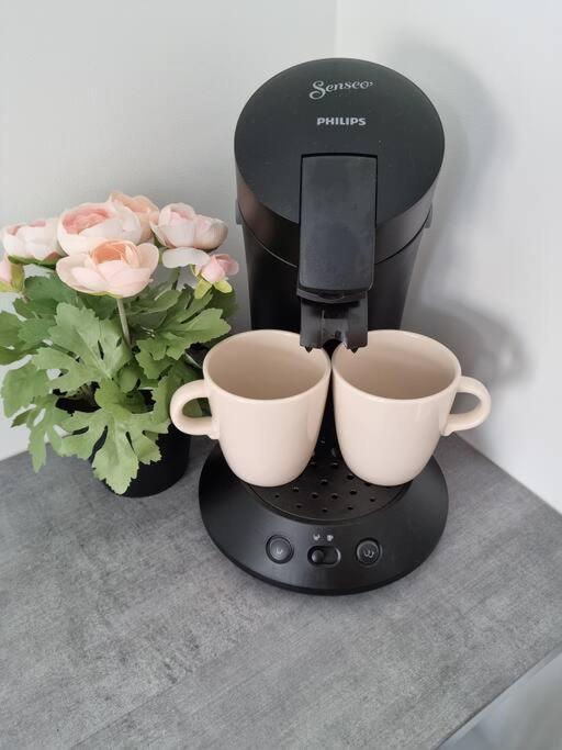 2 Pieces Apartamento Niza